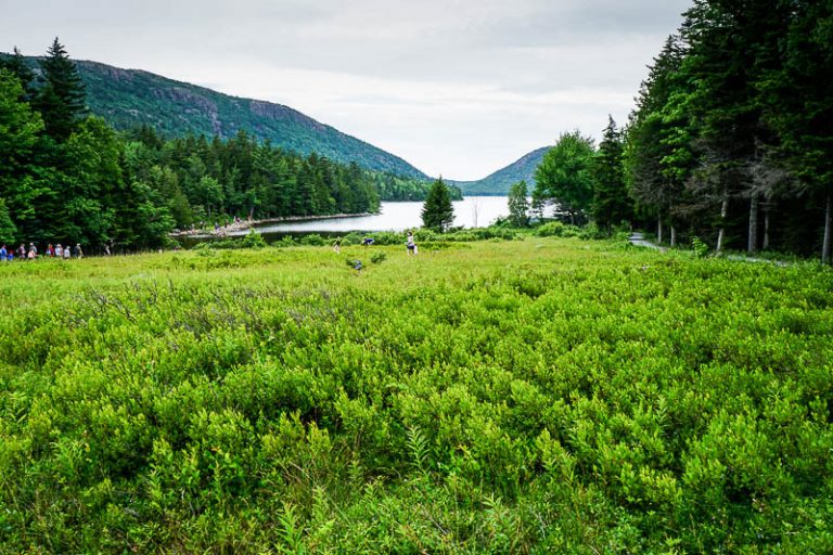 Jordan Pond House in Acadia National Park She's On The Go